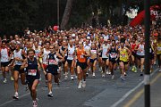 Ostia per ambiente